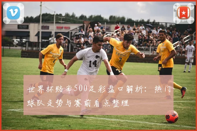 世界杯赔率500足彩盘口解析:热门球队走势与赛前看点整理
